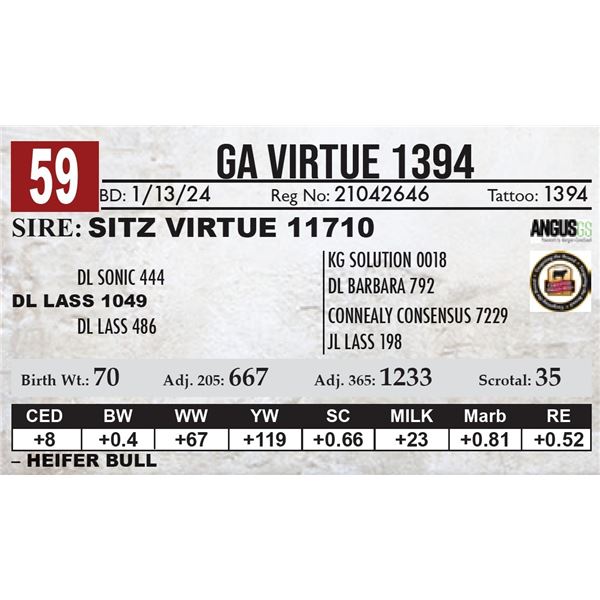 GA Virtue 1394