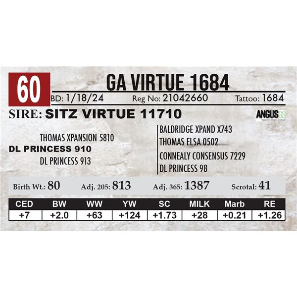 GA Virtue 1684