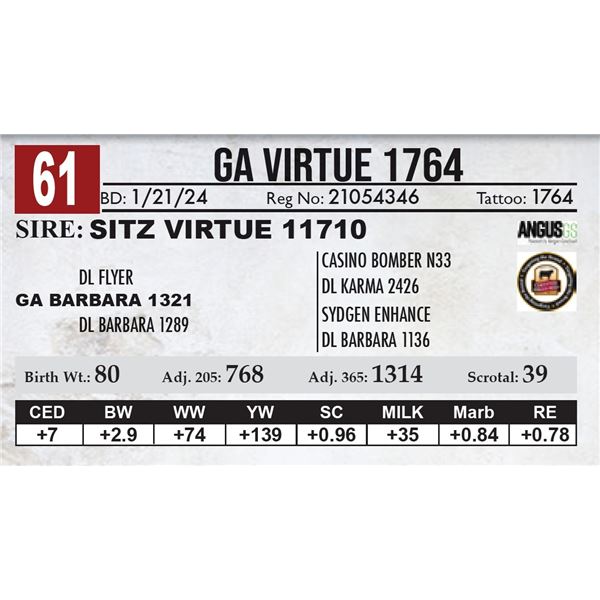 GA Virtue 1764