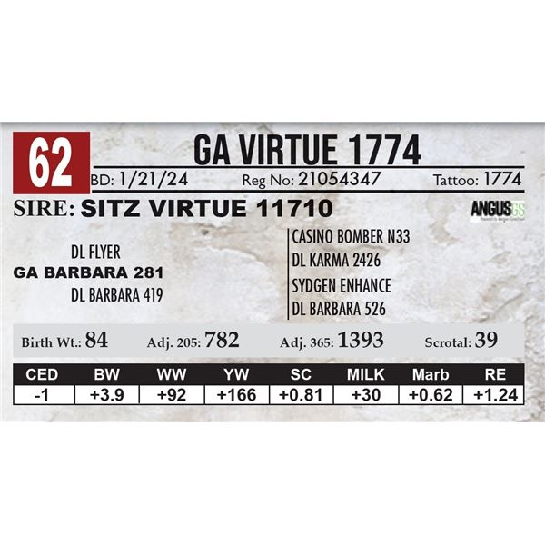 GA Virtue 1774