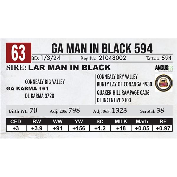 GA Man In Black 594