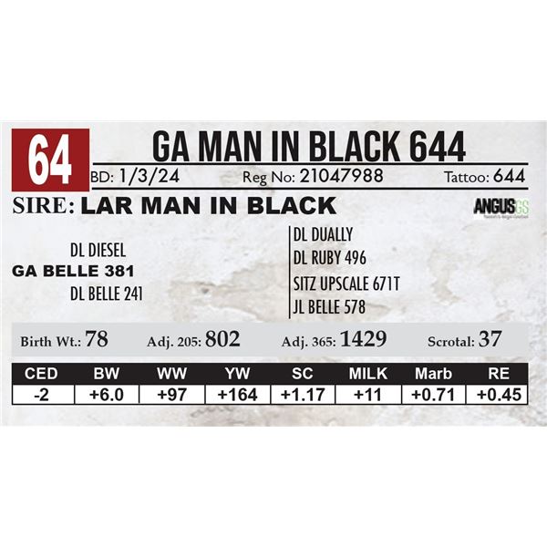 GA Man In Black 644
