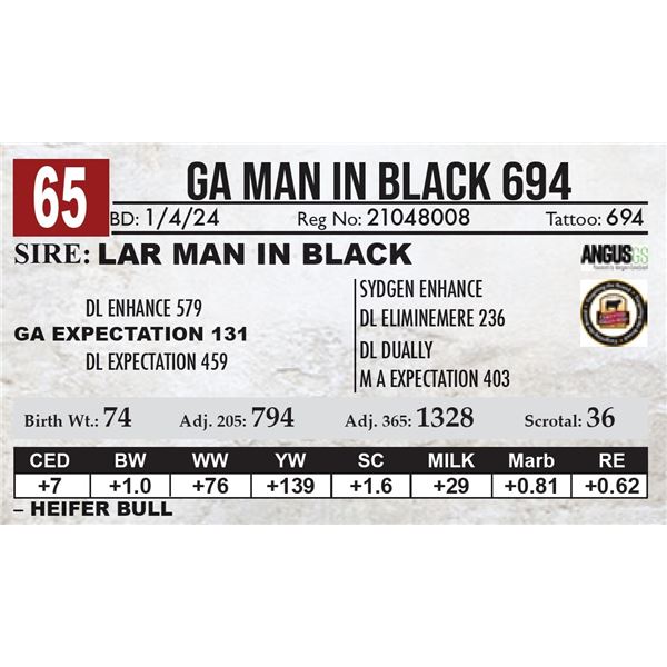 GA Man In Black 694