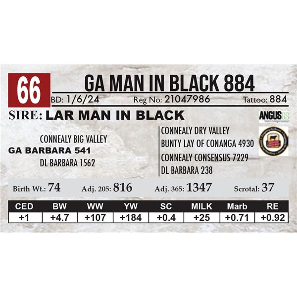 GA Man In Black 884
