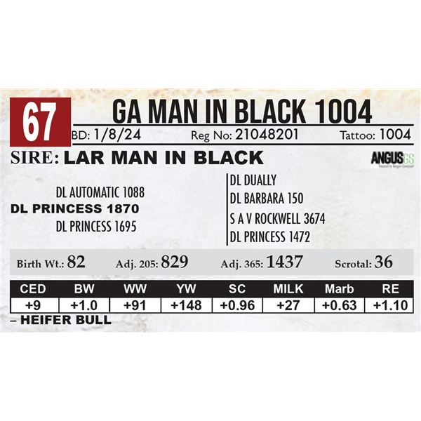 GA Man In Black 1004