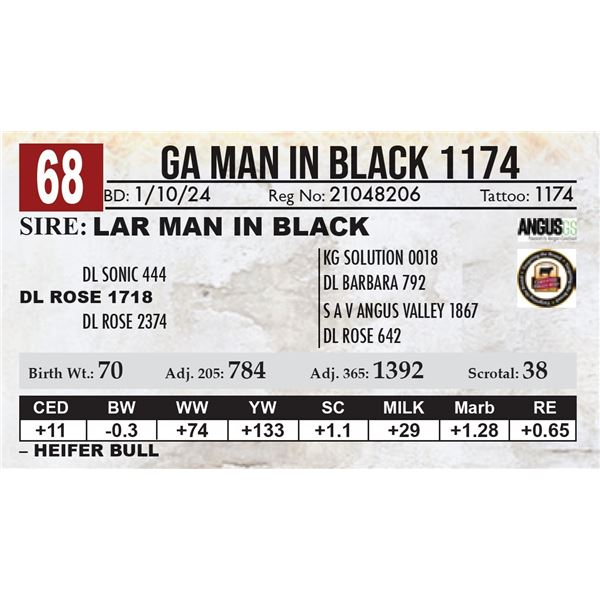 GA Man In Black 1174