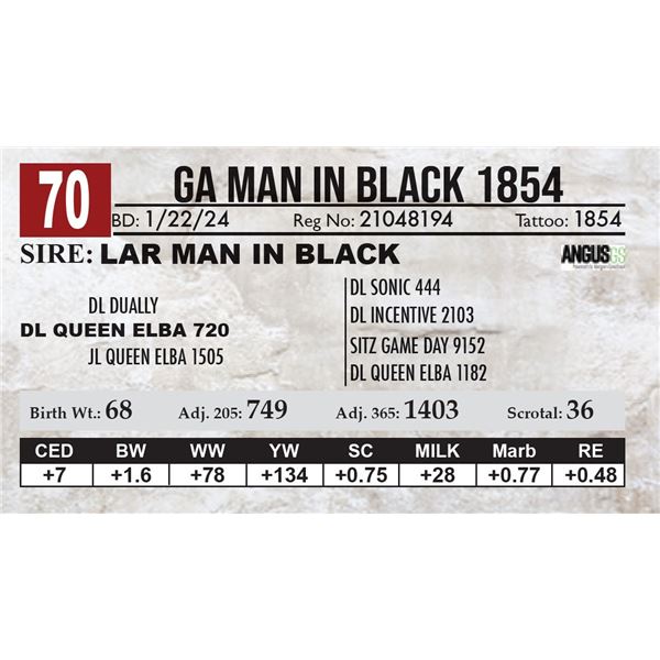GA Man In Black 1854