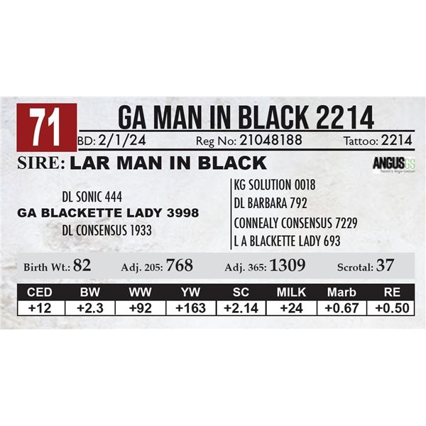 GA Man In Black 2214