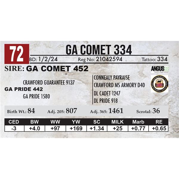 GA Comet 334