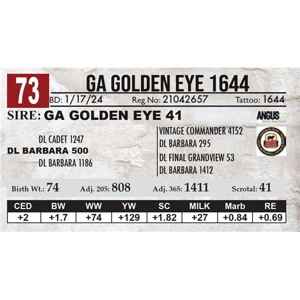 GA Golden Eye 1644