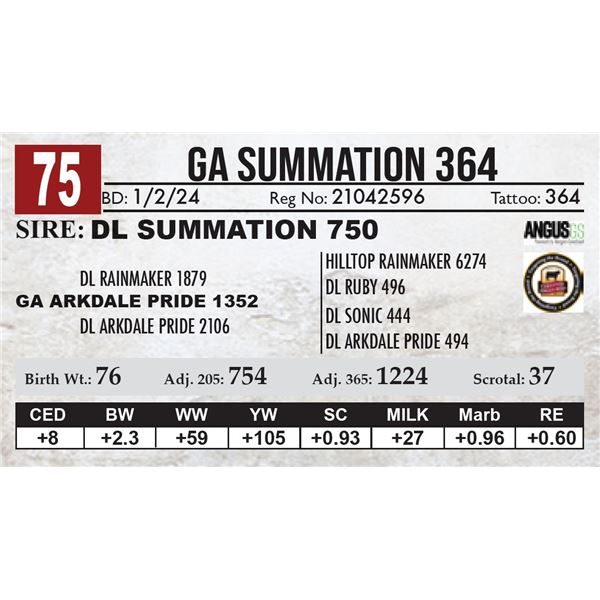 GA Summation 364