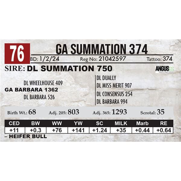 GA Summation 374