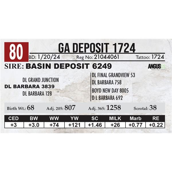 GA deposit 1724