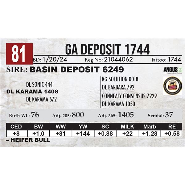 GA Deposit 1744