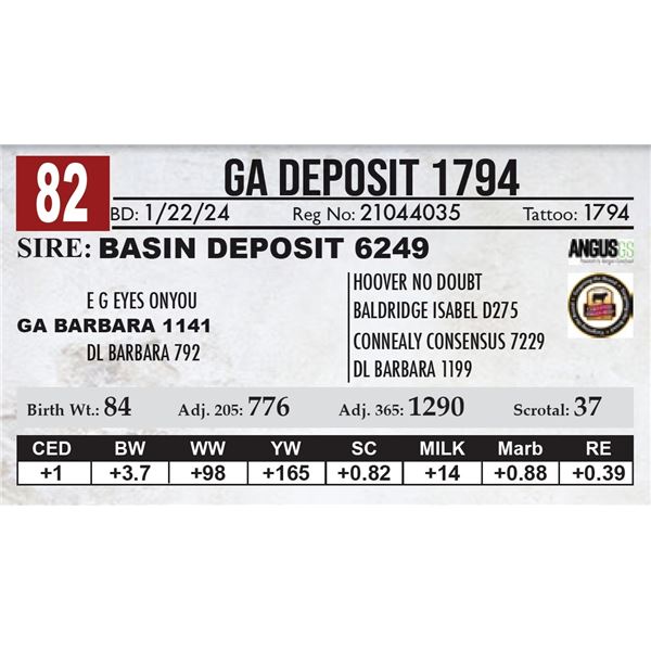 GA Deposit 1794