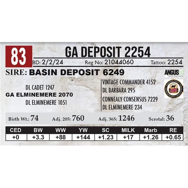 GA Deposit 2254