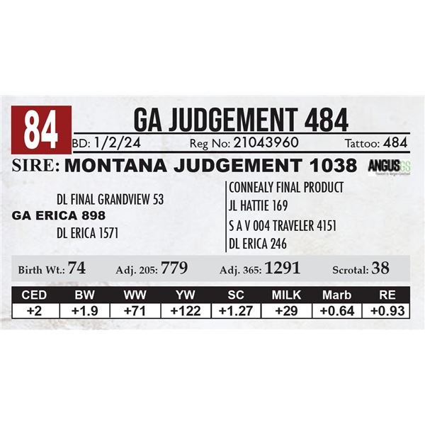 GA Judgement 484