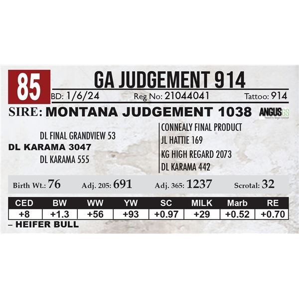 GA Judgement 914