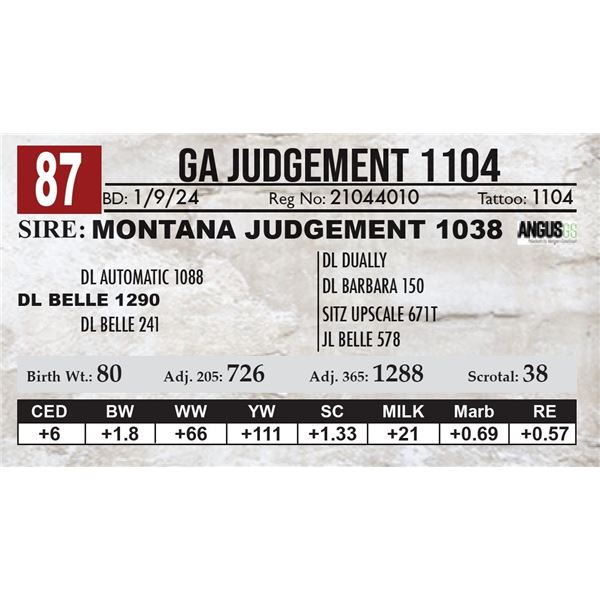 GA Judgement 1104