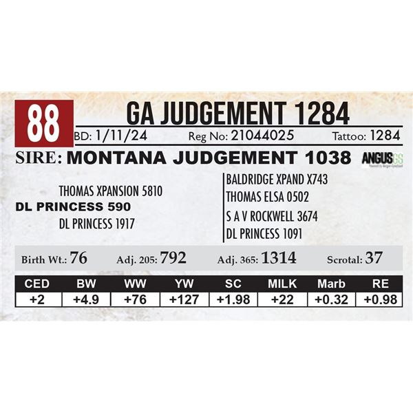 GA Judgement 1284