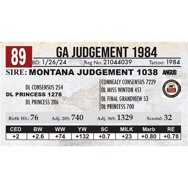 GA Judgement 1984