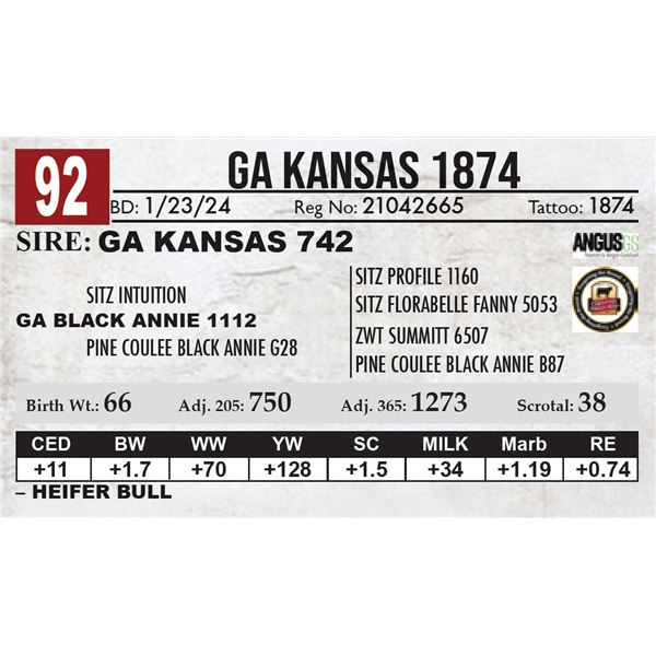 GA Kansas 1874