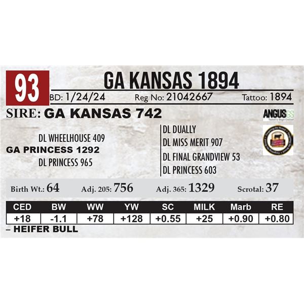 GA Kansas 1894