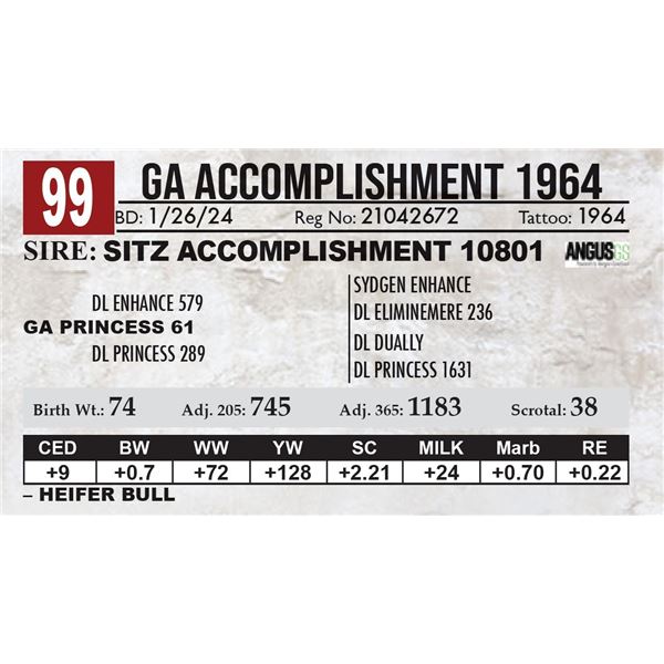 GA Accomplishment 1964
