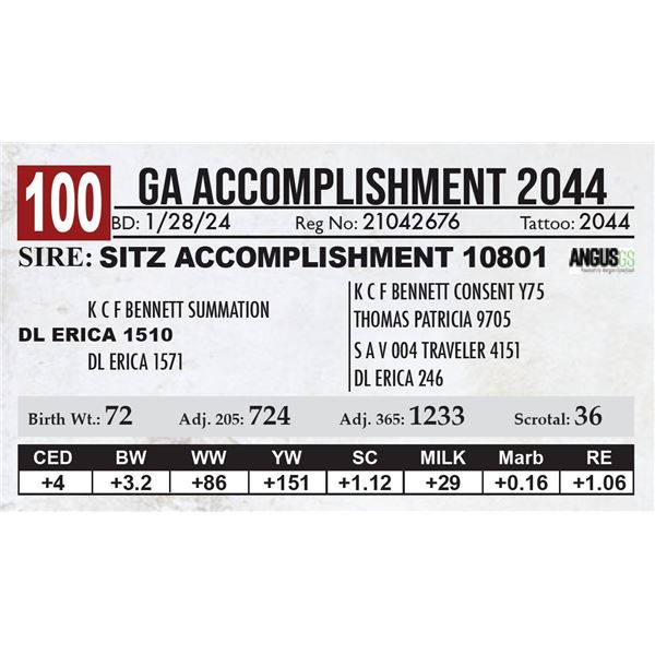 GA Accomplishment 2044