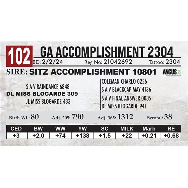 GA Accomplishment 2304