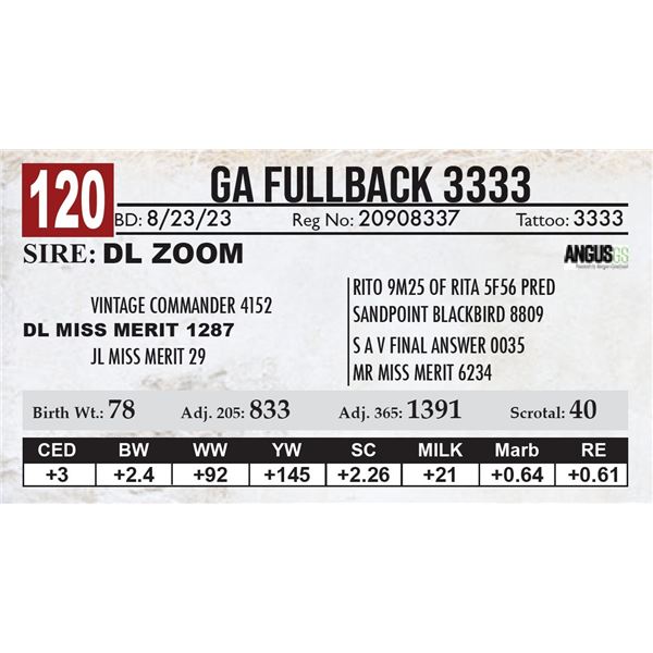 GA Fullback 3333