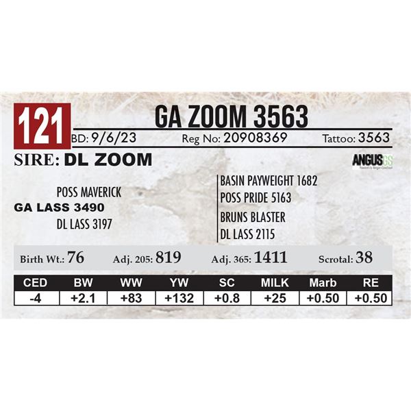 GA Zoom 3563