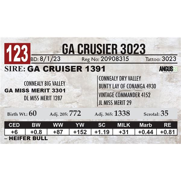 GA Crusier 3023