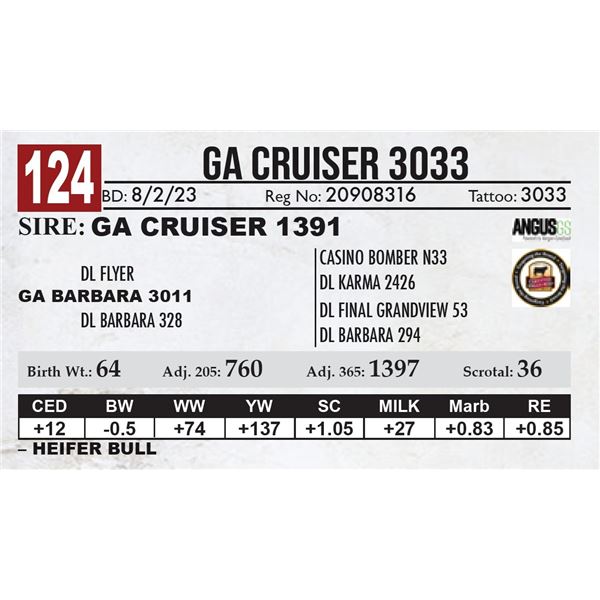 GA Cruiser 3033