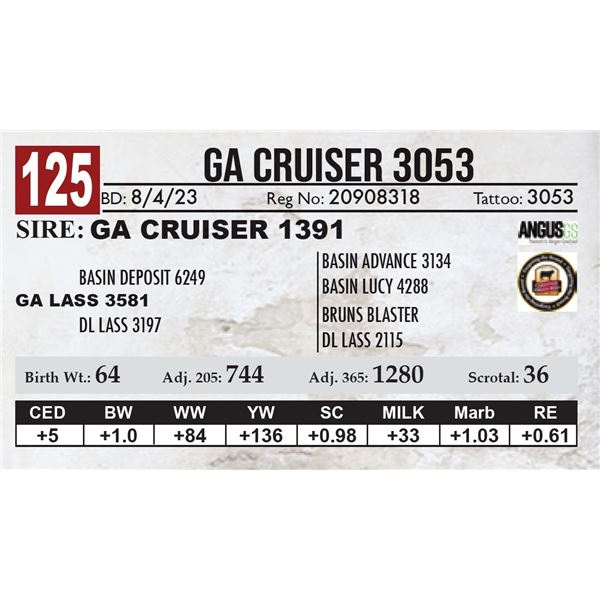 GA Cruiser 3053