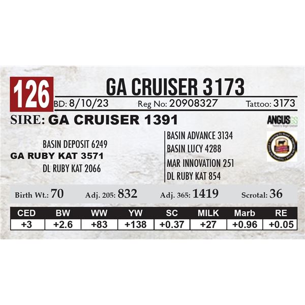 GA Cruiser 3173
