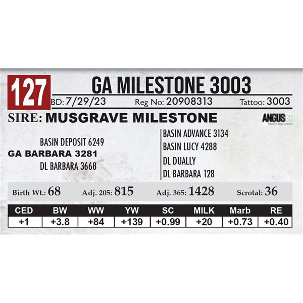 GA Milestone 3003