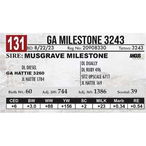 GA Milestone 3243