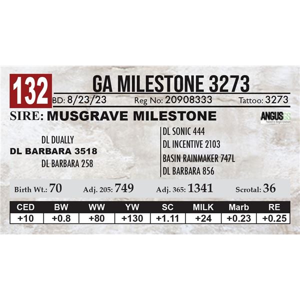 GA Milestone 3273
