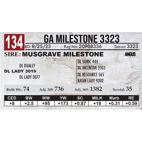 GA Milestone 3323