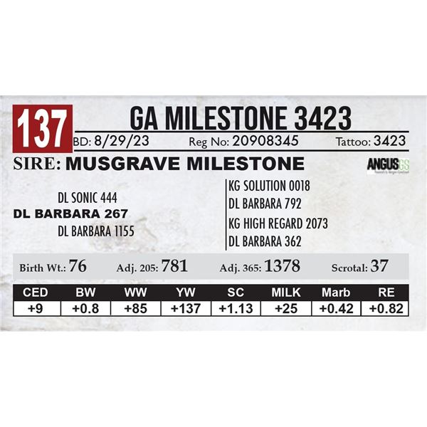GA Milestone 3423