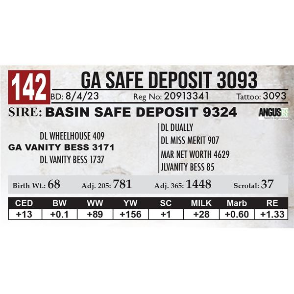 GA Safe Deposit 3093