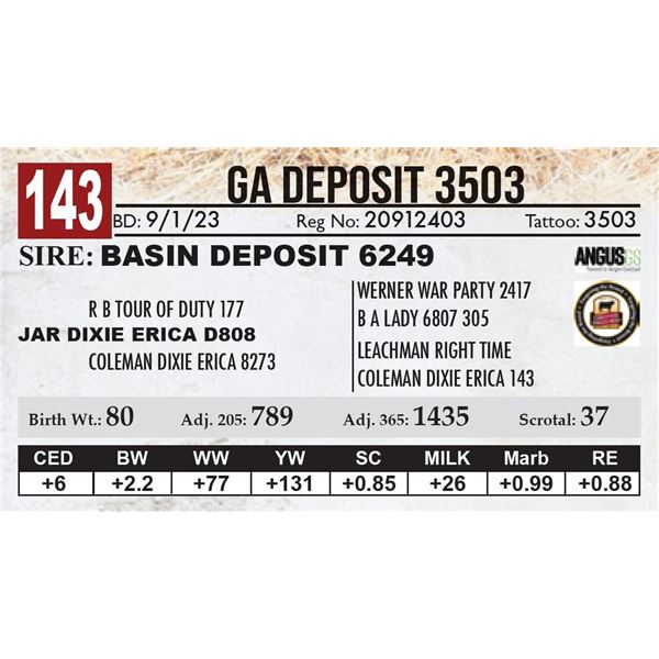 GA Deposit 3503