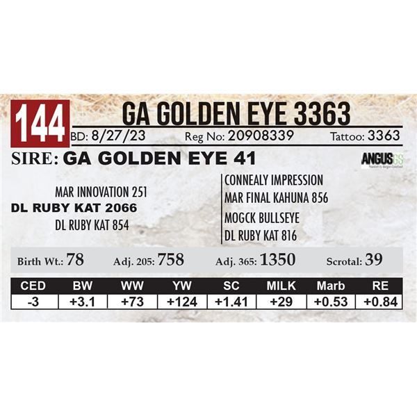 GA Golden Eye 3363