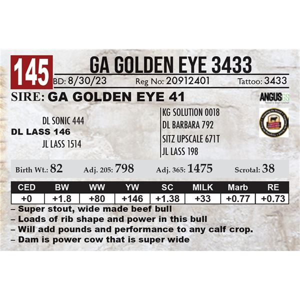 GA Golden Eye 3433