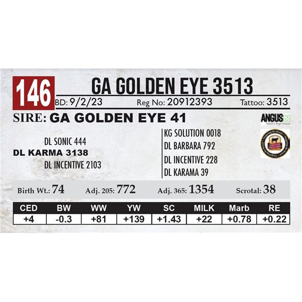 GA Golden Eye 3513