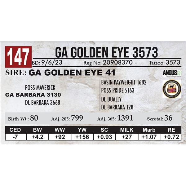 GA Golden Eye 3573
