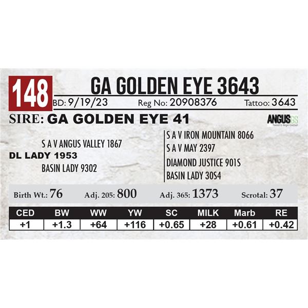 GA Golden Eye 3643