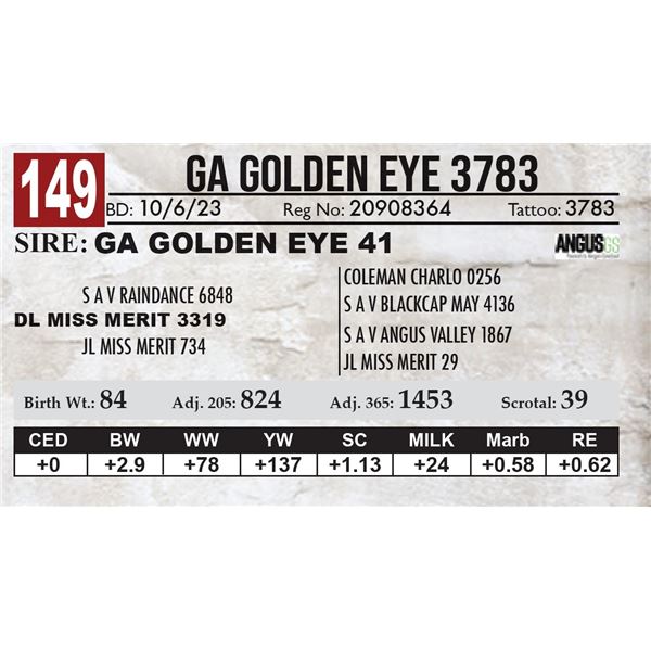 GA Golden Eye 3783