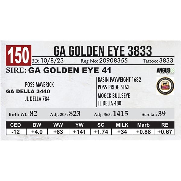 GA Golden Eye 3833